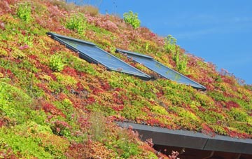 Carway living roof systems